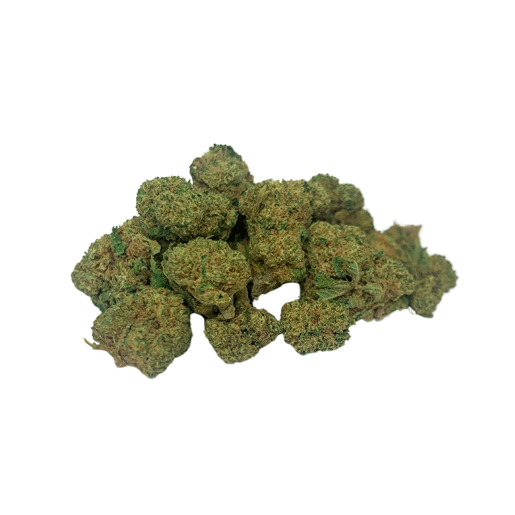 Blueberry Indoor Small