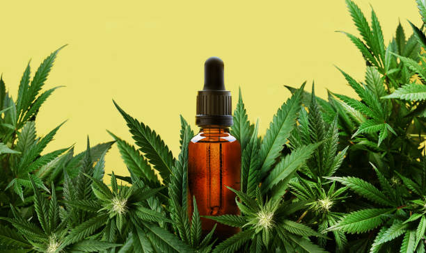 CBD y salud: los beneficios de este cannabinoide para el cuerpo"