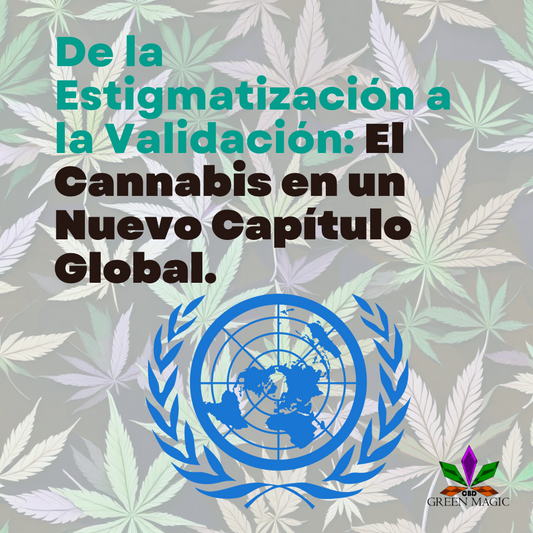 Un Cambio Histórico: La ONU Reconoce Oficialmente las Propiedades Medicinales del Cannabis