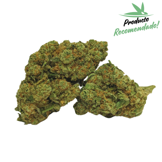 Amnesia Hidro