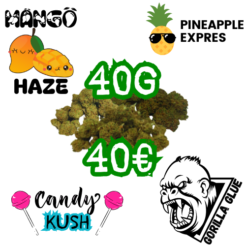 !!Pack  Euro-gramo¡¡ 40g x 40€