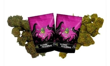 Combo de 20g por 20€ – 10g de Candy Kush pequena e 10g de Orange pequena