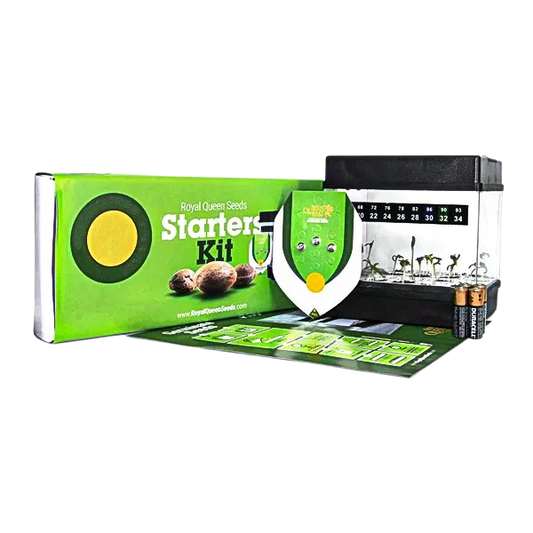 Starter Kit Auto floreciente