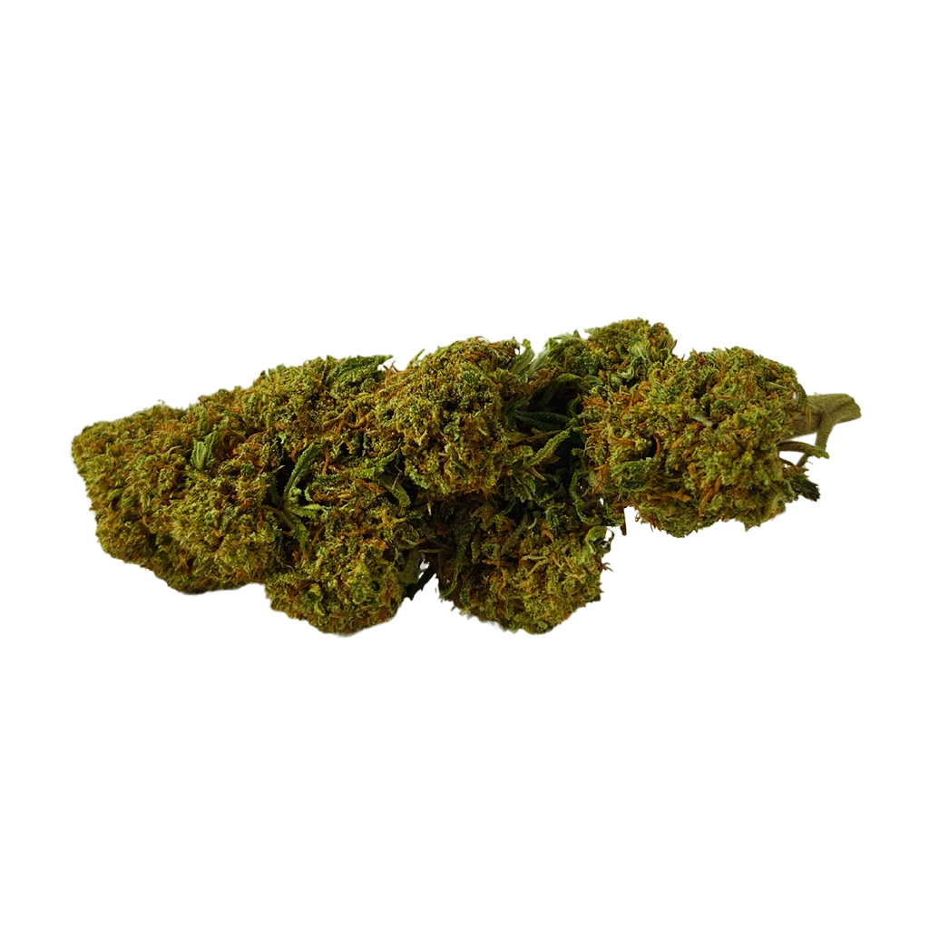 Un cogollo de flor CBD Cannatonic, se aprecia su calidad por su color y forma compacta