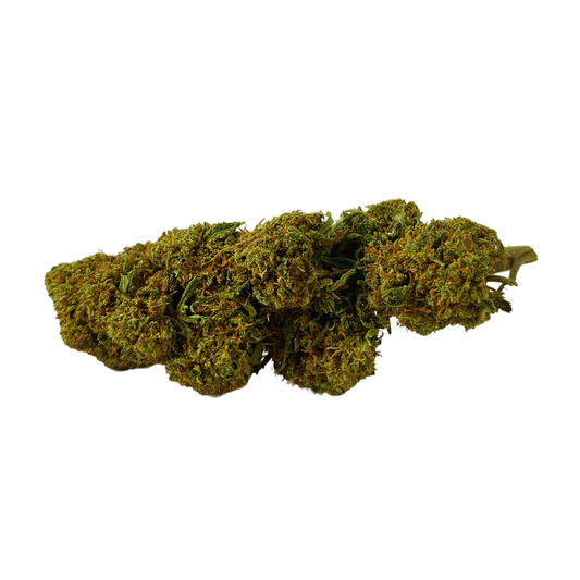 Un cogollo de flor CBD Cannatonic, se aprecia su calidad por su color y forma compacta