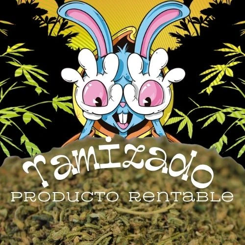 Un conejo mirando una montaña de CBD con un letrero que hace referencia a que ese producto es el más barato