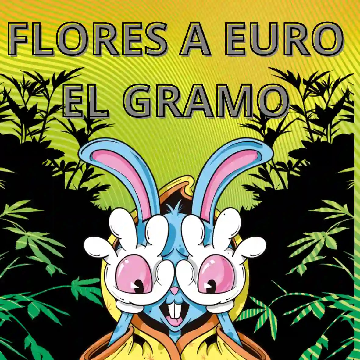 Flores CBD a 1 euro el gramo en Green Magic