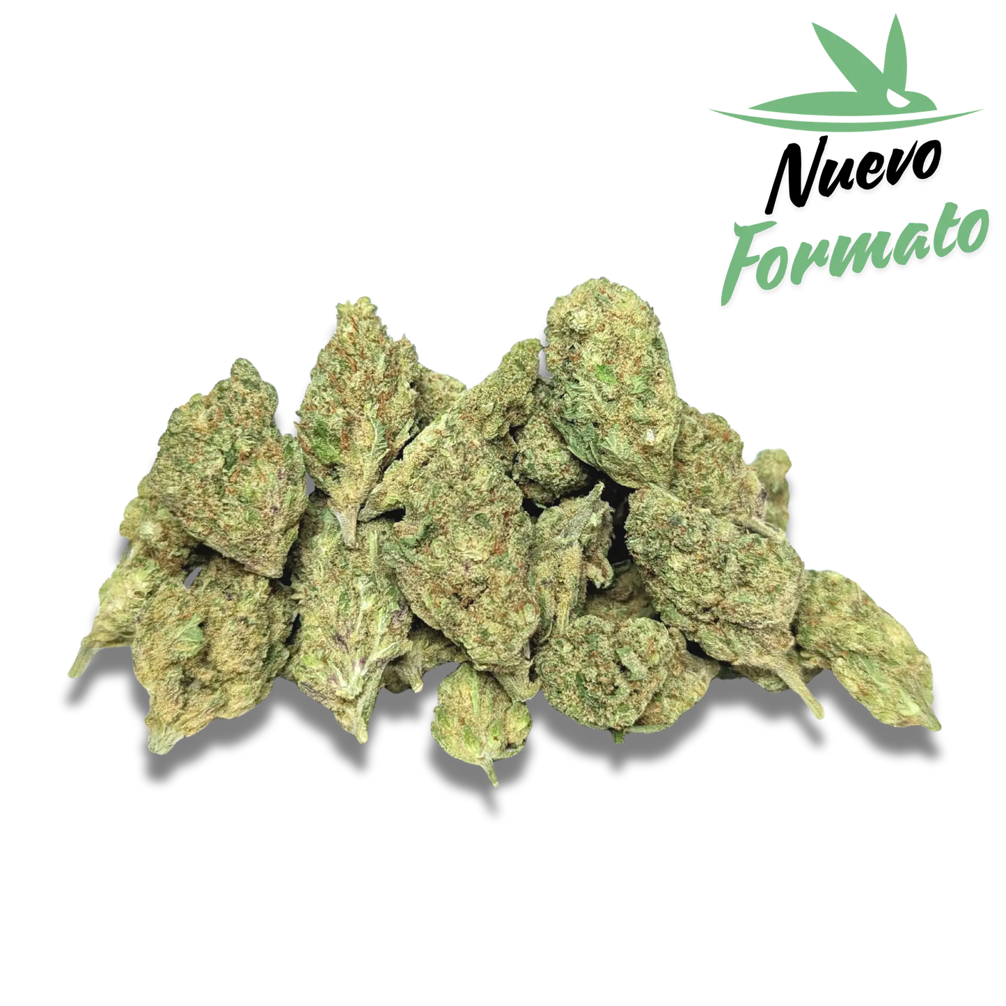 Frozen Indoor - Mediano