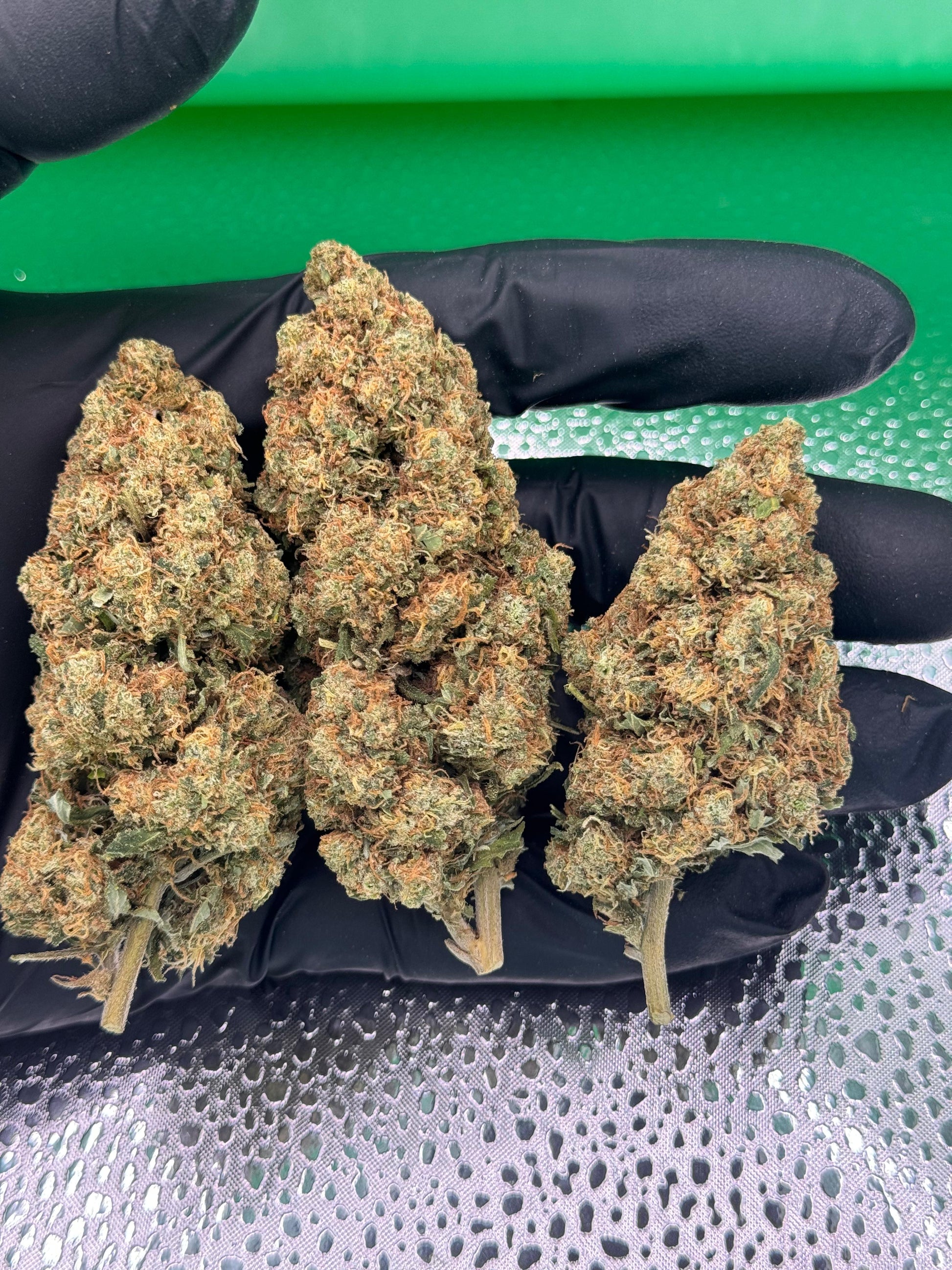 3 cogollos de Godzilla CBD hidropónica con una apariencia de calidad