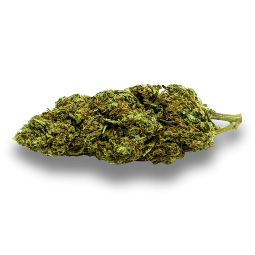 Cogollo de Flor Mango Haze CBD, se puede ver que es de un tamaño muy grande y de gran calidad