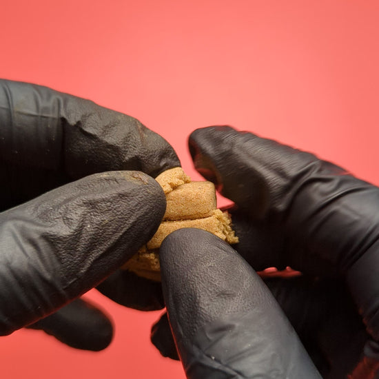 Dry Sift CBD siendo manipulado, se pude apreciar por textura y el color, que es una producto de calidad