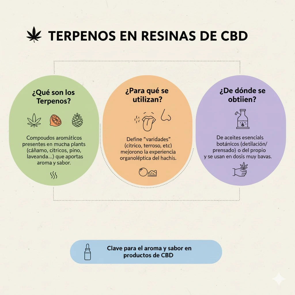 Resumen explicativo de las preguntas frecuentes que se tienen acerca de los terpenos aplicados a las Resinas (Hachís) de CBD
