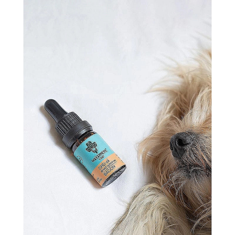 Aceite de CBD para Perros Pequeños 3% CBD (10ml)BACON